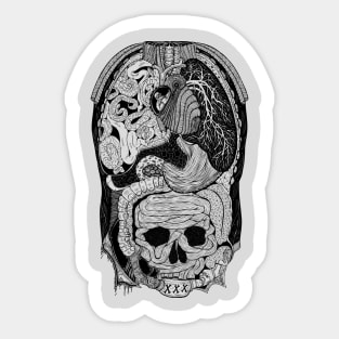 Gross Anatomy Sticker